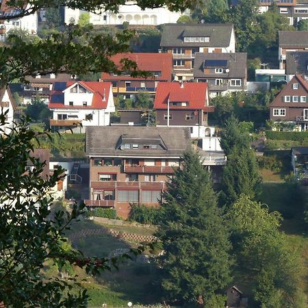 Haus Krick Apartment Alpirsbach Luaran gambar
