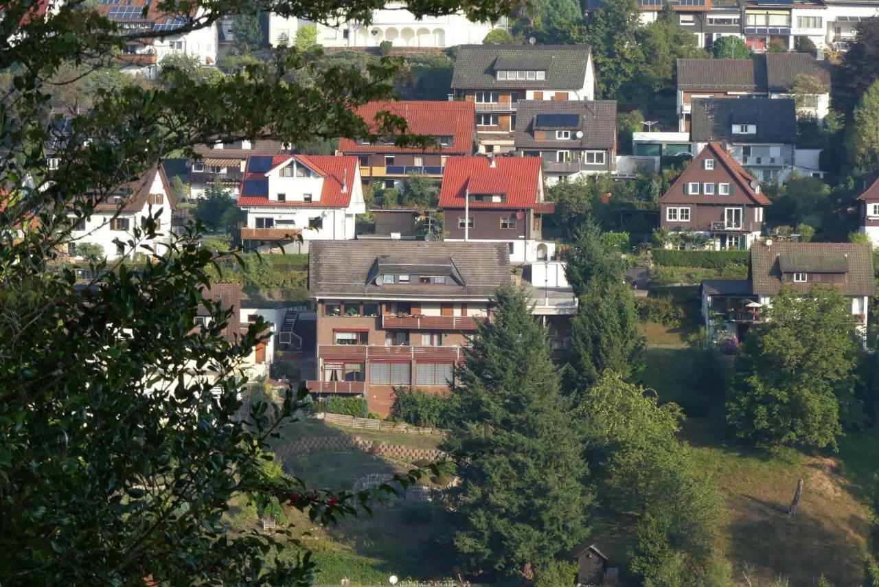 Haus Krick Apartment Alpirsbach Luaran gambar